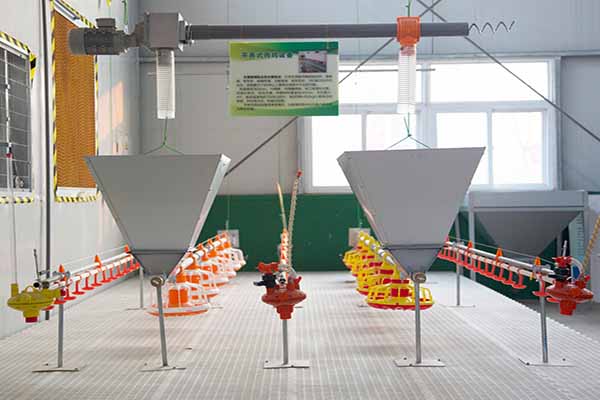 broiler floor raising system