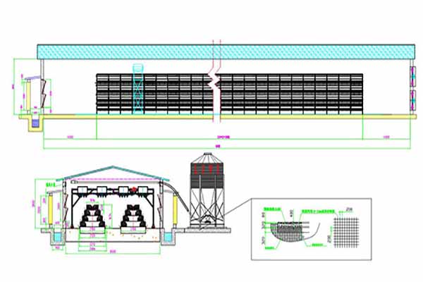 Solution Of 30000 Broilers With Battery Cage