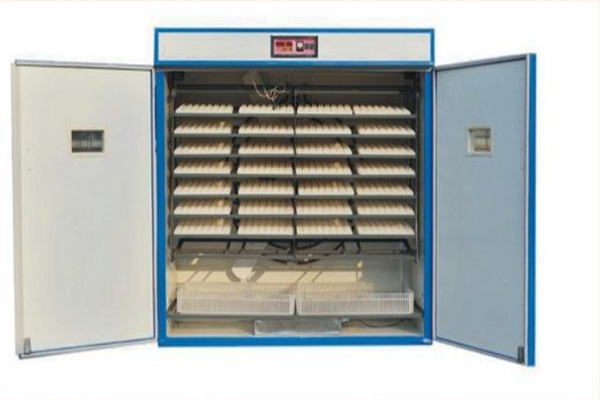 Egg Incubator Machine