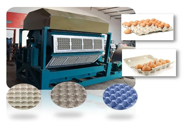 Chicken Egg Carton Machine