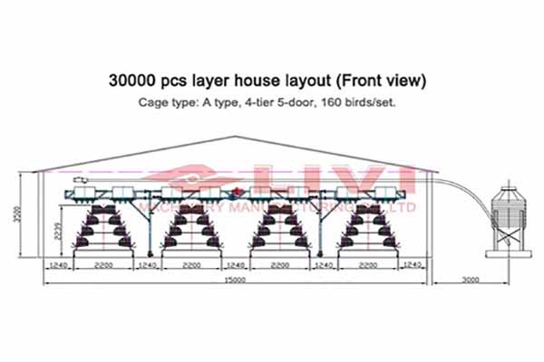 30000 Layers In A Type Battery Cage