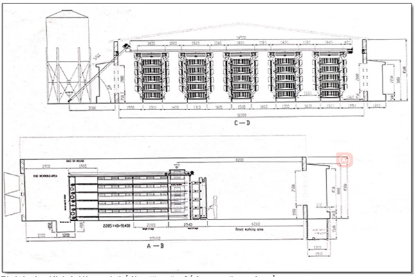 Solution Of 45000 Layers In Chicken Battery Cage