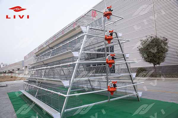 structure-of-chicken-battery-cage-from-livi-machinery