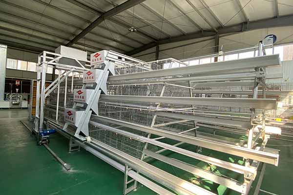 The Strongest Chicken Cage For Poultry Farming