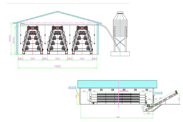 10000 chickens layer battery cage