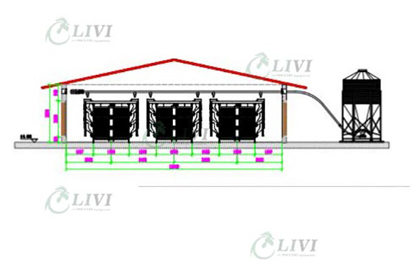 20000-broilers-using-automatic-poultry-cages