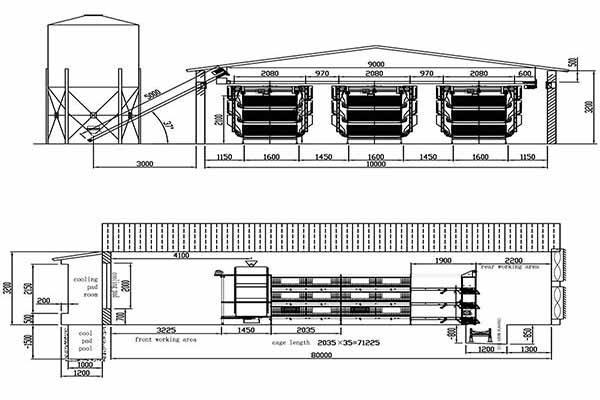 15000-broilers-farming-cage-project-in-ghana