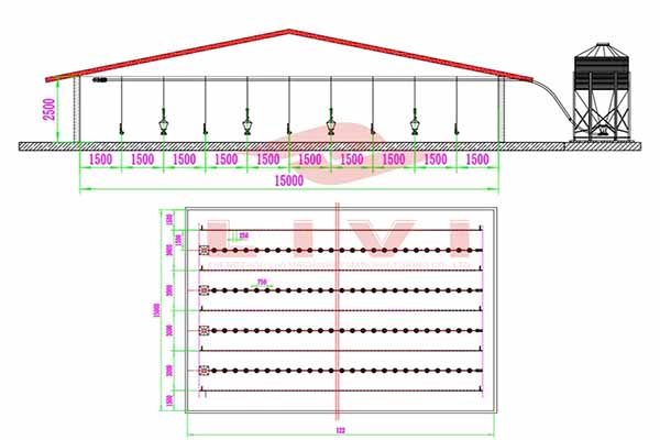 50000-pcs-broiler-deep-litter-system-farming-solution