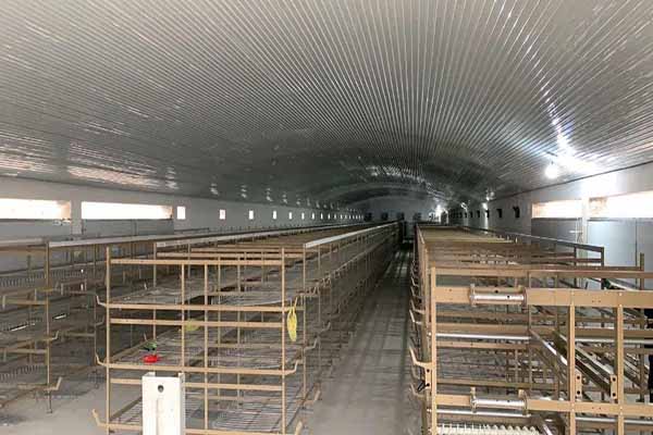 battery-cage-system-for-broilers-capacity-of-20000-birds-in-pakistan